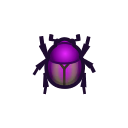 Il faut attraper cet insecte : Geotrupidae