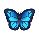 Il faut attraper cet insecte : Morpho bleu