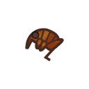 Il faut attraper cet insecte : puce