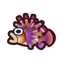 Il faut attraper ce poisson : poisson-scorpion